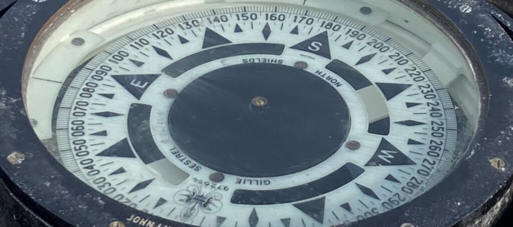 Professional Magnetic Compass Adjustment